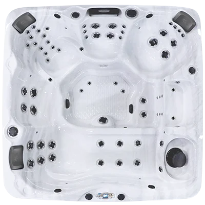 Avalon EC-867L hot tubs for sale in Thornton